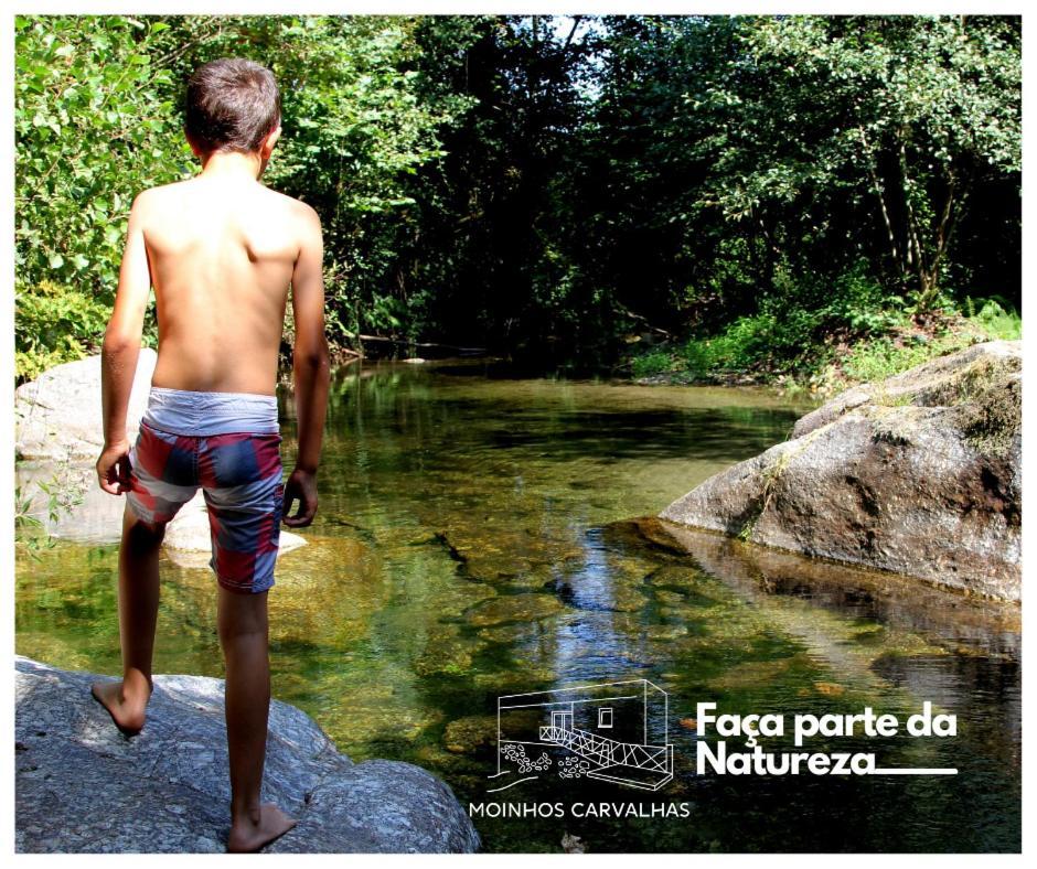 Moinhos Carvalhas Villa Arcos de Valdevez Exteriör bild
