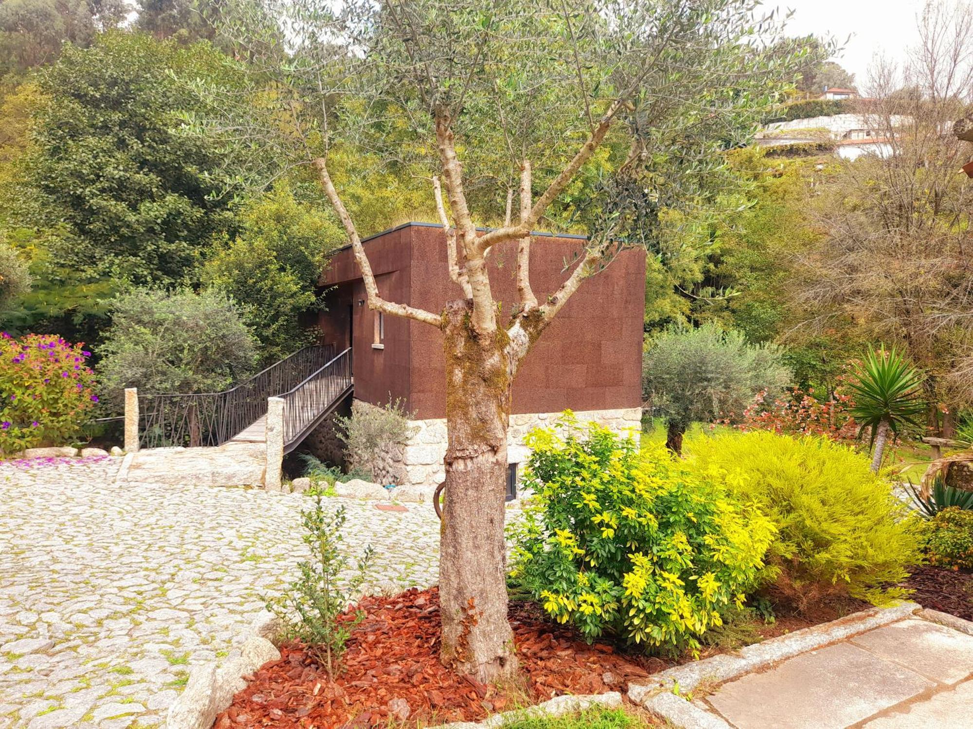 Moinhos Carvalhas Villa Arcos de Valdevez Exteriör bild